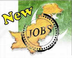Software Houses in Lahore Jobs Career and Internship