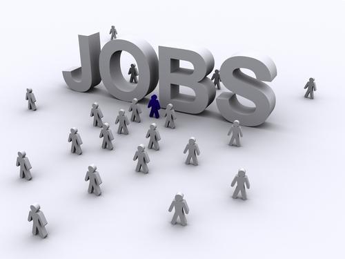 How to Search Jobs Online in Pakistan