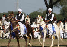 Sindh Horse and Cattle Show