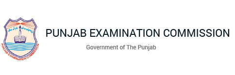 Punjab Examination Commission Roll Number Slips 5th 8th Class