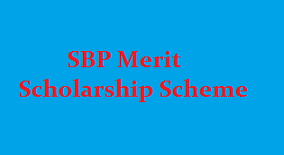 SBP Merit Scholarship Scheme application form