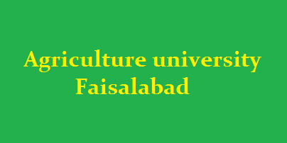 Agriculture University Faisalabad Intermediate Admission 2022