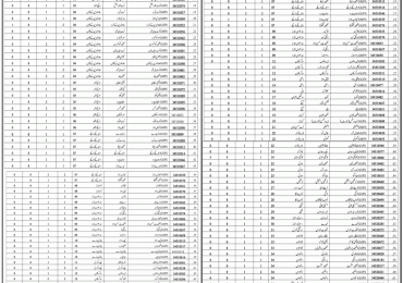 District Hafizabad Educators Merit List