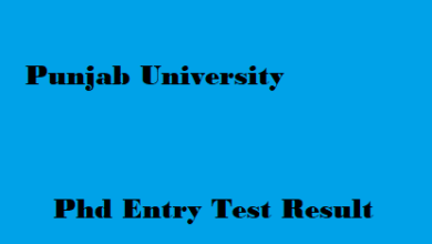 Punjab University PU PhD Entry Test Result 2023
