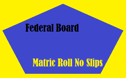 Federal Board Matric Roll No Slips