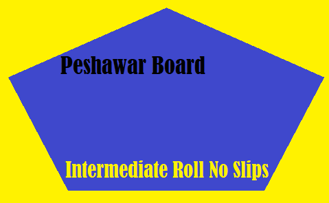 Peshawar Board Intermediate Roll No Slips