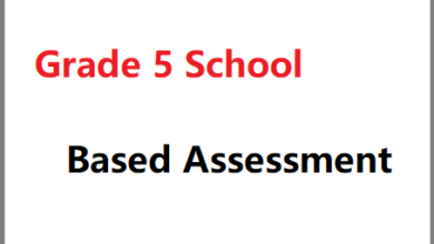 Grade 5 School Based Assessment