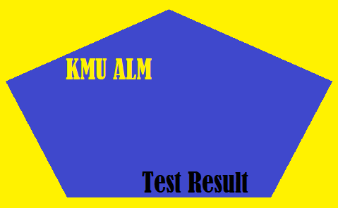 KMU ALM Test Result
