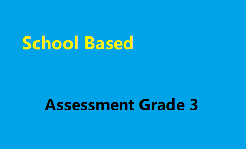 School Based Assessment Grade 3