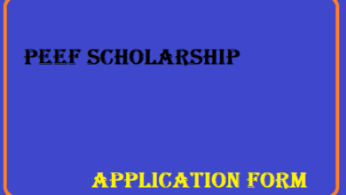 PEEF Scholarship 2024 Application Form