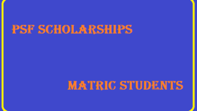 PSF Scholarships For Matric Students