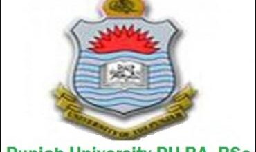 Punjab University BA BSC Supplementary Result