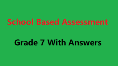 School Based Assessment Grade 7