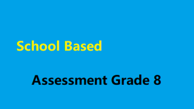 School Based Assessment Grade 8
