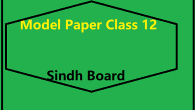 Model Paper Class 12 Sindh Board