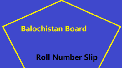 Balochistan Board Matric Roll Number Slip