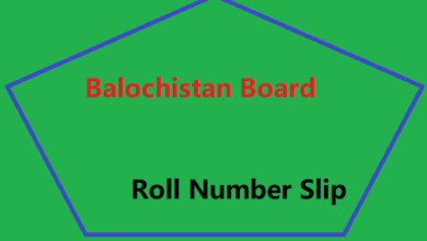 Balochistan Board Roll Number Slip