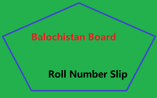 Balochistan Board Roll Number Slip
