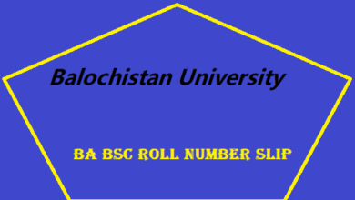 Balochistan University BA BSC Roll Number Slip