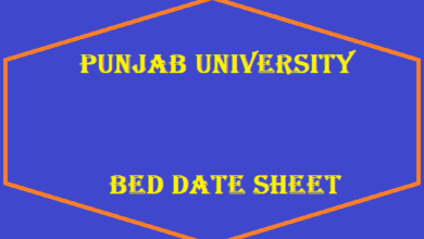 Punjab University Bed Date Sheet