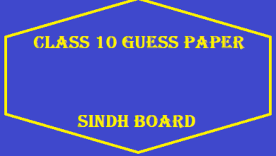Sindh Board Class 10 Guess Paper download