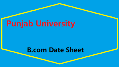 punjab university B.com Date Sheet