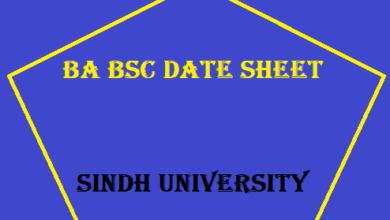 BA BSC Date Sheet 2024 Sindh University