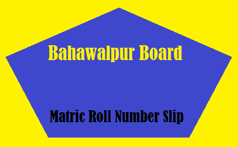 Bahawalpur Board Matric Roll Number Slip