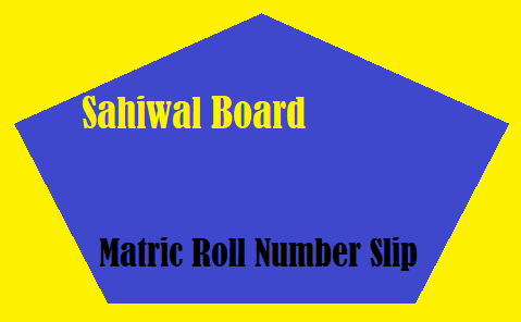 Bise Sahiwal Board Matric Roll Number Slip