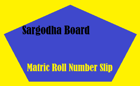 Bise Sargodha Board matric roll number slip