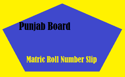 Punjab Board matric Roll Number Slip
