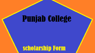 Punjab College scholarship Form