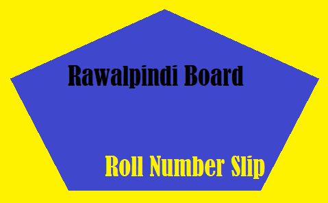 Rawalpindi Board 10th Class Roll Number Slip