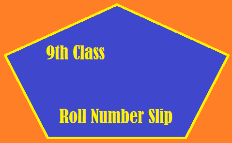 Rawalpindi Board 9th Class Roll Number Slip