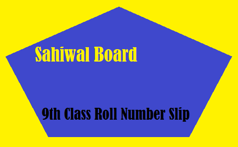 Sahiwal Board 9th Class Roll Number Slip