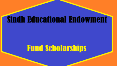 Sindh Educational Endowment Fund Scholarships