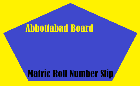 Abbottabad Board Matric Roll Number Slip