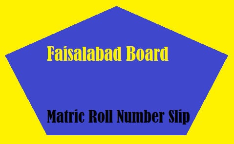 Faisalabad Board Matric Roll Number Slip