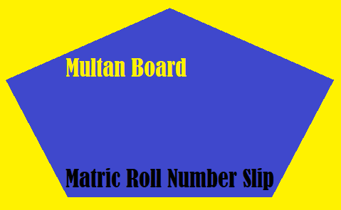 Multan Board Matric Roll Number Slip
