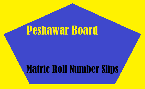 Peshawar Board Matric Roll Number Slips