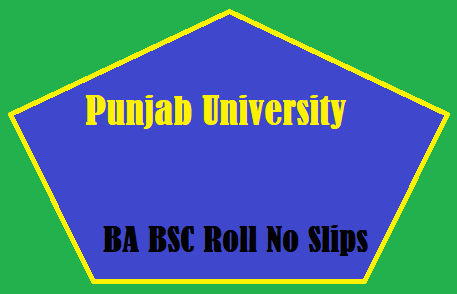 Punjab University BA BSC Roll No Slips
