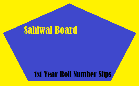 Sahiwal Board 1st Year Roll Number Slips