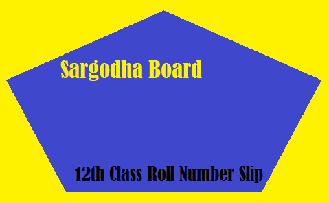 Sargodha Board 12th Class Roll Number Slip